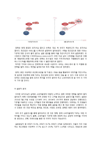 TGI 프라이데이 마케팅 전략분석과 SWOT분석및 TGI 새로운 마케팅전략제안과 나의견해-15