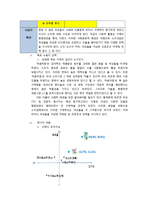 처음처럼 시장점유율 상승위한 마케팅전략분석과 처음처럼 향후방향전략 제안-5