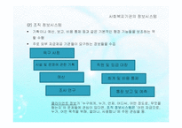 (사회복지행정) 정보관리, 정보관리시스템, 사회복지조직 정보관리체계 PPT 파워포인트-9