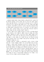 애플 APPLE 경영전략분석과 애플 성공,실패사례분석및 애플 미래전망과 나의견해(vs 삼성전자와 비교분석)-12