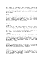 성인간호학 - 간, 담도, 췌장의 해부학적 구조 및 기능에 관한 보고서-3