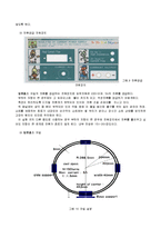 일반물리학 실험 - 헬름홀츠 코일에서의 자기장 측정-4