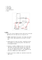 일반물리학 실험 - 헬름홀츠 코일에서의 자기장 측정-6
