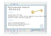 아모레퍼시픽 중국진출전략과 성공요인및 SWOT분석과 아모레퍼시픽 새로운 마케팅전략 제안 PPT-5