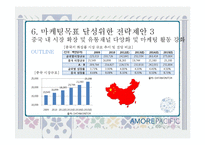 아모레퍼시픽 중국진출전략과 성공요인및 SWOT분석과 아모레퍼시픽 새로운 마케팅전략 제안 PPT-17