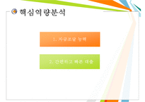 러시앤캐시 중국진출 글로벌전략분석과 러시앤캐시 과제및 향후전망-6