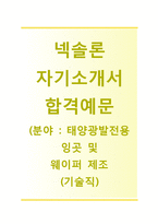 (넥솔론자기소개서 + 면접기출문제) 넥솔론(기술직인턴-태양광발전용 잉곳 및 웨이퍼 제조) 자기소개서 합격예문 [넥솔론자소서넥솔론인턴채용첨삭항목]-1