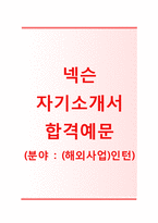 (넥슨자기소개서 + 면접기출문제) 넥슨(해외사업인턴) 자기소개서 합격예문 [넥슨자소서넥슨인턴채용넥슨인턴사원]-1
