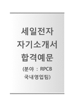 (세일전자자기소개서 + 면접기출문제) 세일전자(RPCB국내영업팀) 자기소개서 합격예문 [세일전자자소서세일전자채용첨삭항목]-1