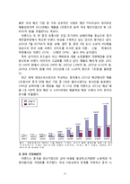 이랜드 중국시장진출 글로벌 마케팅전략 분석과 이랜드 4P전략분석및 이랜드 중국진출 성과분석과 미래전략방안 제안-12