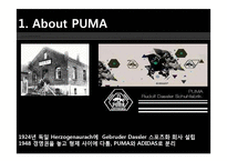 푸마 PUMA 위기극복위한 마케팅전략 분석및 푸마 소비자행동분석-3