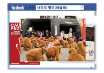 SNS(페이스북) 활용한 기업들의 sns마케팅 성공,실패(네슬레,르노삼성) 사례분석-10