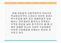 발달장애아동의 사회적응능력향상 및 가족유대감강화 프로그램 PPT, 파워포인트-3