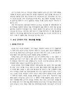 국제경영학 - 농심 신라면 분석-15
