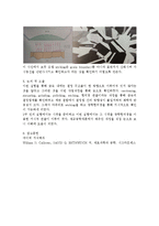 광학현미경 관찰 - 저탄소강을 이용하여 금속 소재의 미세구조를 관찰-4
