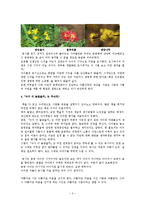 [동시집 감상문] 도종환 동시집 - 누가 더 놀랐을까를 읽고-3