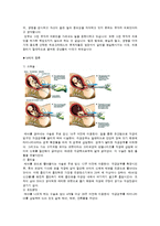 낙태 관련 동영상을 본 후의 감상문-4