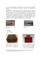 답사기 - 학교 박물관답사기-3