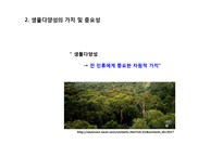 동물 분류학 - 생물 다양성에 관한 조사-6
