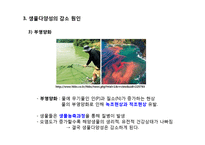 동물 분류학 - 생물 다양성에 관한 조사-15