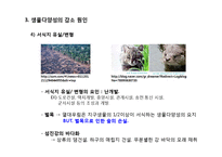 동물 분류학 - 생물 다양성에 관한 조사-17