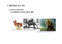 동물 분류학 - 생물 다양성에 관한 조사-19
