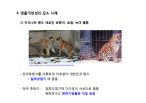 동물 분류학 - 생물 다양성에 관한 조사-20