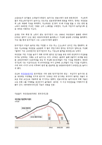 사회학개론 - 저출산 문제, 저출산 문제 해결방안-11
