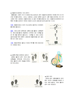 생활 스포츠 - 볼링에 대해서-10