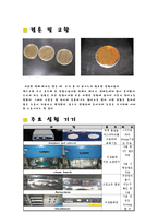 미생물실험 - 배지제조 실험-4