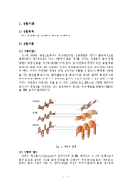 응용화학공학 기초실험 - 빛의 편광 특성 실험 보고서-2
