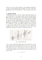 응용화학공학 기초실험 - 빛의 편광 특성 실험 보고서-5