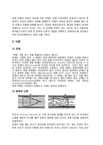 화학공학 실험 - 레이놀즈수(Reynolds 실험) 실험-2
