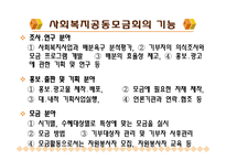 사회복지공동모금회(개념, 이념, 설립배경, 특성, 필요성, 발전과정, 활성화방안)-13