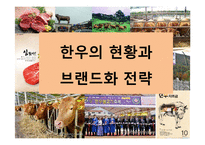 한우의 현황과 브랜드화 전략-1