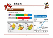 롯데자이언츠 마케팅전략분석과 롯데자이언츠 4P,SWOT,포지셔닝분석및 롯데자이언츠 향후비전과 마케팅전략 제안 PPT-9