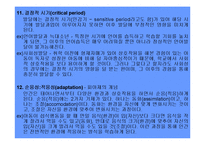 (인간행동과사회환경) 성장과발달이론 PPT, 파워포인트-14