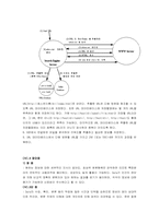 [경영정보시스템] 에이젼트-14
