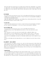 [국제경영] SM엔터테인먼트의 일본,중국시장진출-11