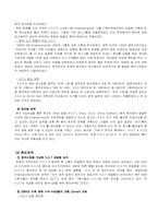 [국제경영] SM엔터테인먼트의 일본,중국시장진출-17
