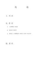 [서양문화사] 링컨과 노예해방-2