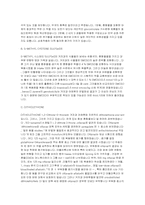 [기능성식품] 겨자과 야채와 암예방-12
