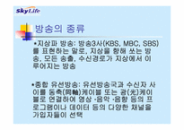 [경영학] 스카이라이프의 개선점과 발전방향-5