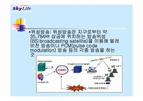 [경영학] 스카이라이프의 개선점과 발전방향-6