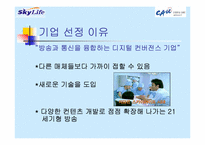 [경영학] 스카이라이프의 개선점과 발전방향-7