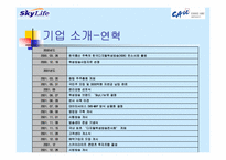 [경영학] 스카이라이프의 개선점과 발전방향-8