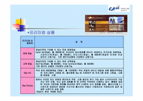 [경영학] 스카이라이프의 개선점과 발전방향-19