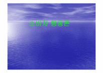 [소비자행동론] 브랜드이미지가 구매자 구매에 미치는 영향-1