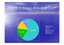 [소비자행동론] 브랜드이미지가 구매자 구매에 미치는 영향-9