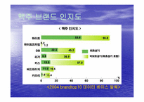 [소비자행동론] 브랜드이미지가 구매자 구매에 미치는 영향-10